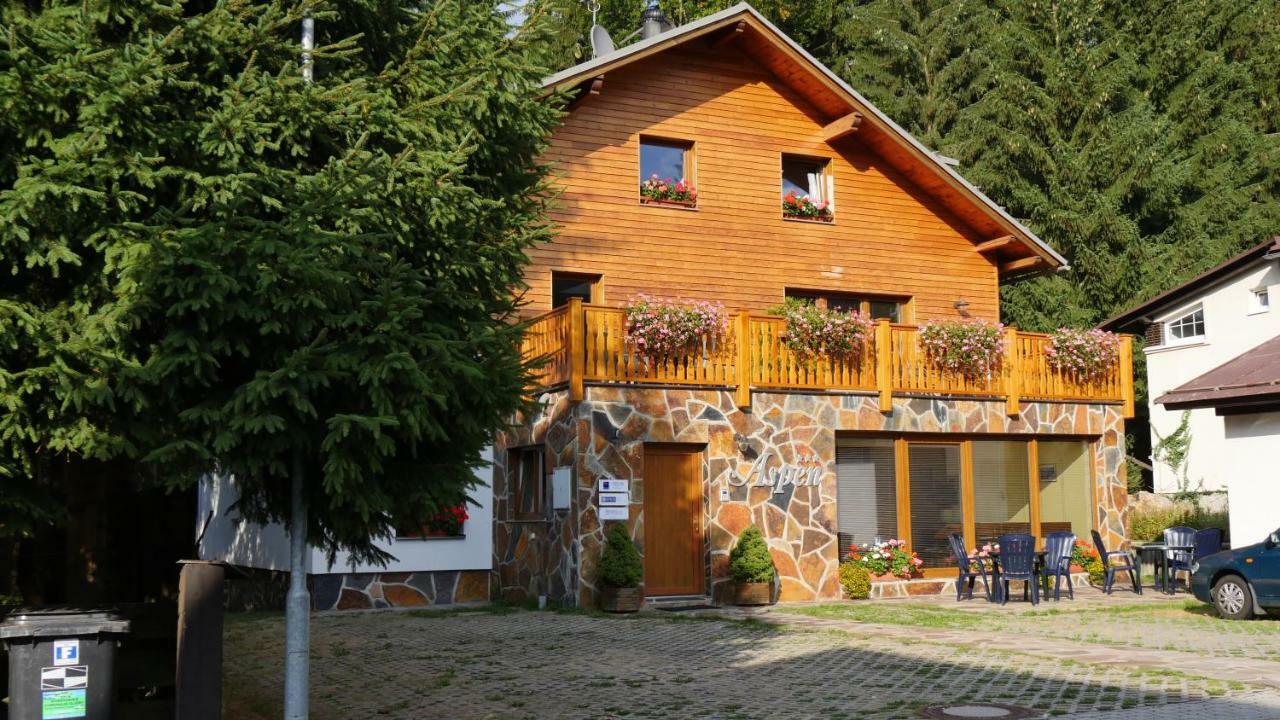 Aspen Guest house *