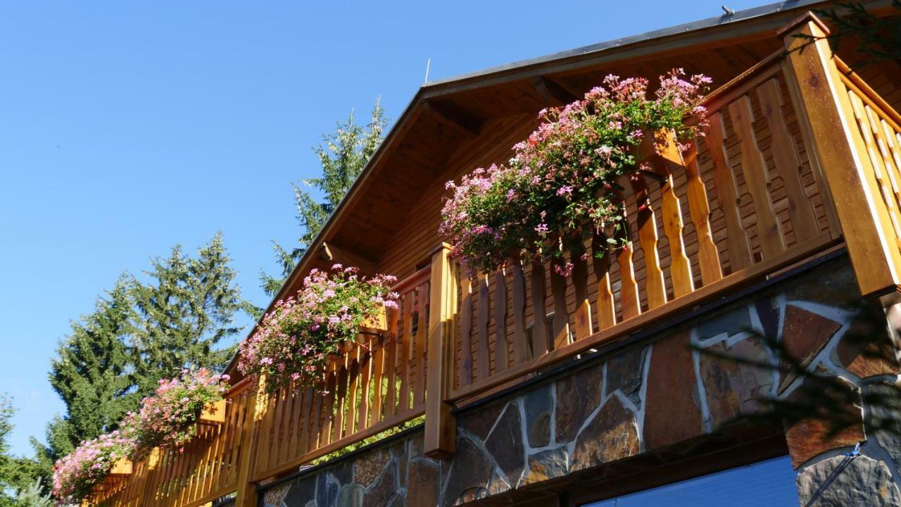 Aspen Guest house *